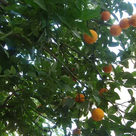 Casa de hóspedes Retrò