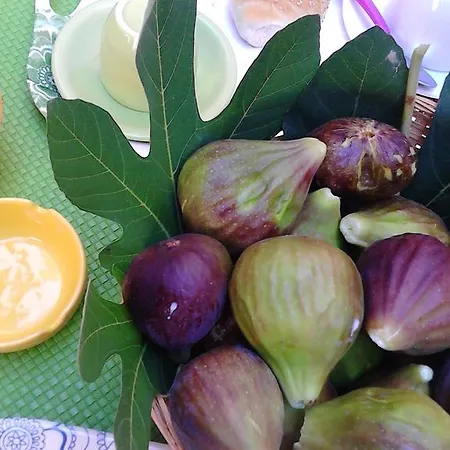 Casa de hóspedes Retrò