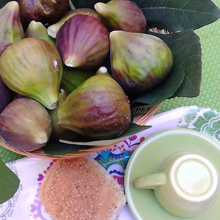 Retrò Casa de hóspedes